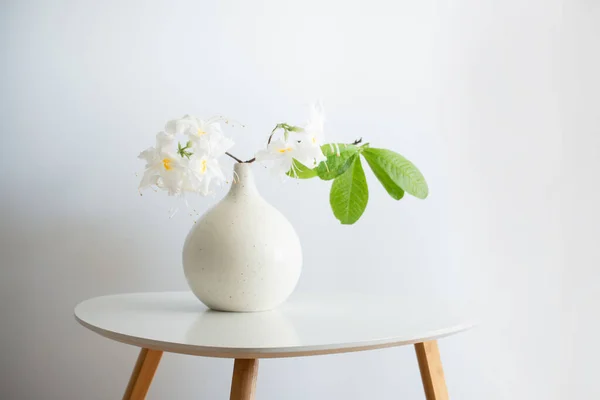 Biały Rododendrom Wazonie Białym Tle — Zdjęcie stockowe