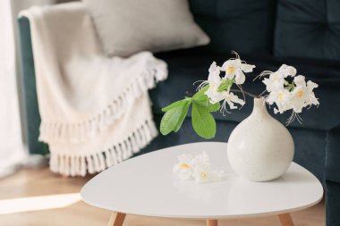 Beyaz rhododendron 'un modern konforlu iç mekanda vazoda dalışı