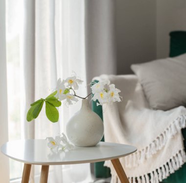 Beyaz rhododendron 'un modern konforlu iç mekanda vazoda dalışı