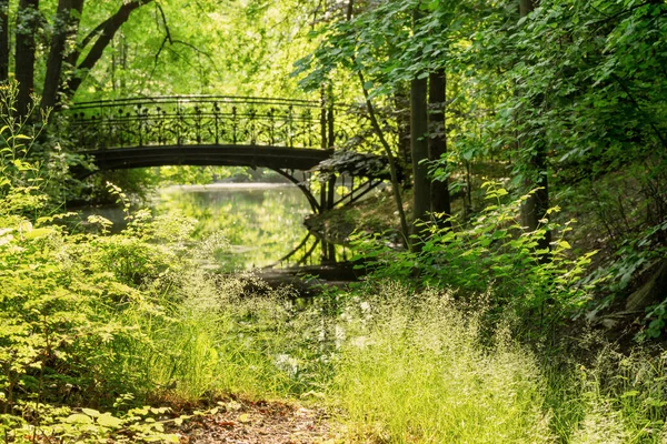 夏の緑の公園の美しい鉄橋 — ストック写真