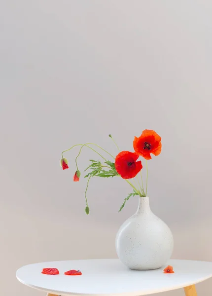 Coquelicots Rouges Dans Vase Sur Fond Blanc — Photo