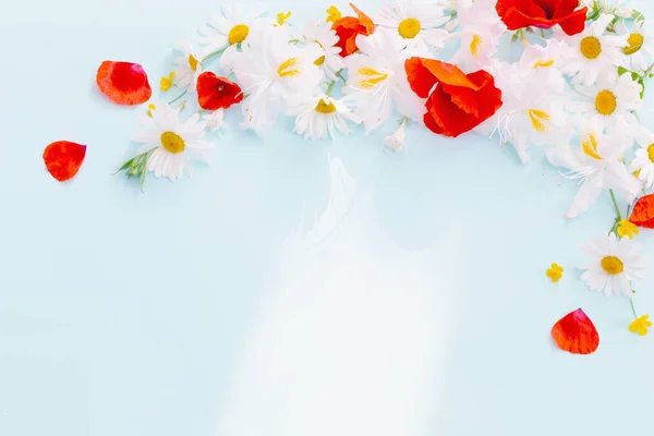 Flores Verão Luz Ensolarada Fundo Azul — Fotografia de Stock