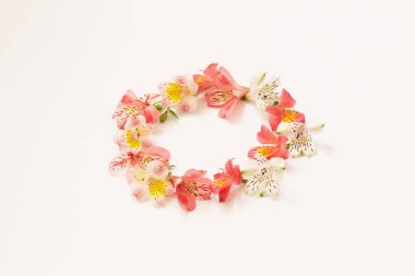 Alstroemeria çiçek beyaz arka plan üzerinde