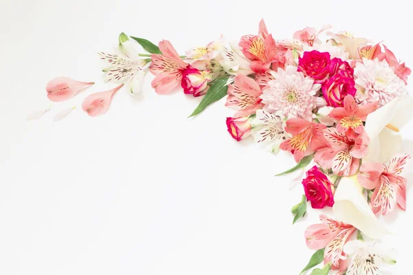 Квіти Альстромерії Білому Тлі — стокове фото