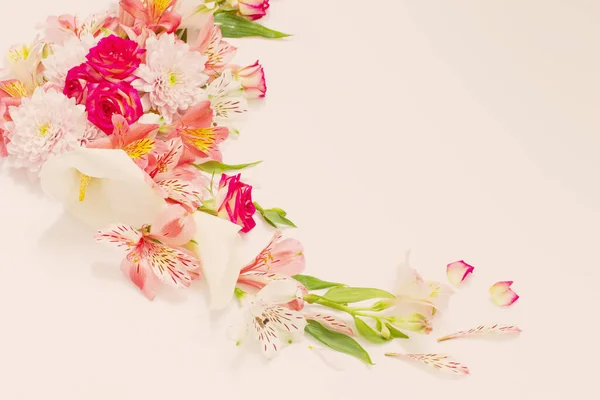 Alstroemeria Blommor Vit Bakgrund — Stockfoto