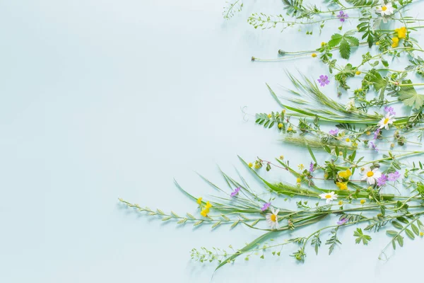 Wildes Gras Und Blumen Auf Grünem Papier Hintergrund — Stockfoto
