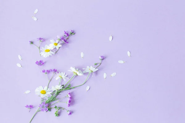 Wilde Blumen Auf Lila Papier Hintergrund — Stockfoto