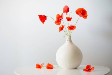 Beyaz arkaplanda vazoda kırmızı gelincikler