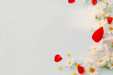 yaz çiçekleri mavi arka planda güneşli ışıkta