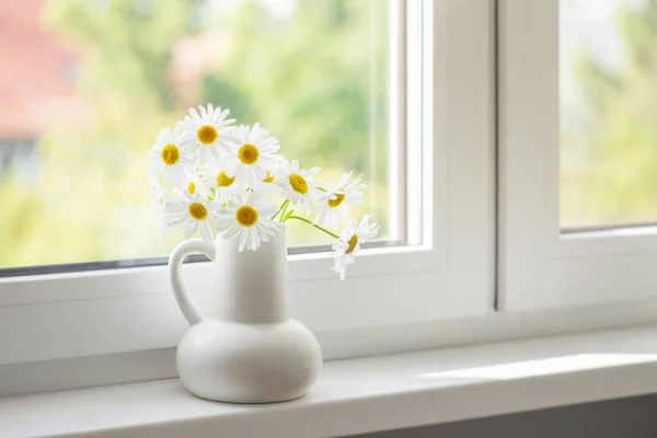 Квіти Ромашки Білому Глечику Підвіконні — стокове фото