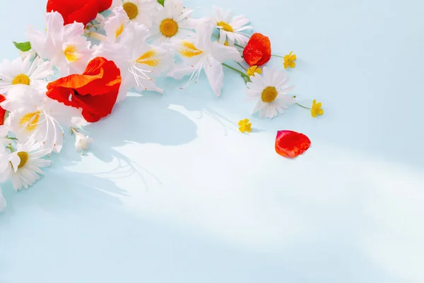 Літні Квіти Сонячному Світлі Синьому Фоні — стокове фото