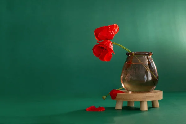 Rote Mohnblumen Glasvase Auf Grünem Hintergrund — Stockfoto