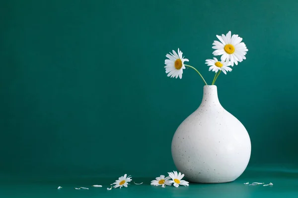 Kwiaty Rumianku Białym Nowoczesnym Wazonie Zielonym Tle — Zdjęcie stockowe