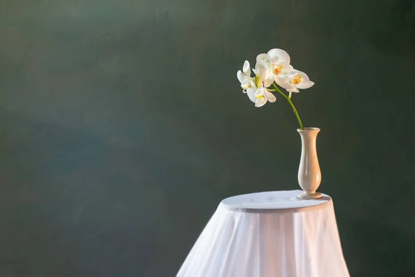 Yeşil Çayırda Beyaz Çiçekler — Stok fotoğraf