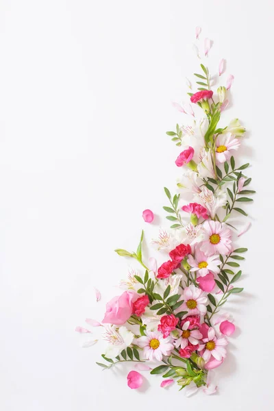 Mooie Roze Witte Bloemen Witte Achtergrond — Stockfoto