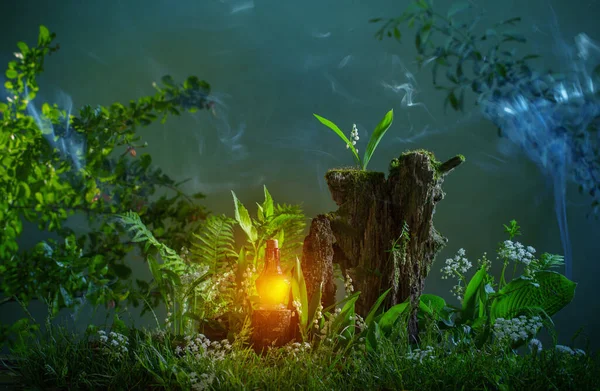 Láhev Magických Lektvarů Kouzelném Lese — Stock fotografie