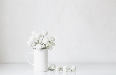 Beyaz arkaplanda klasik bardakta beyaz kasımpatılar.