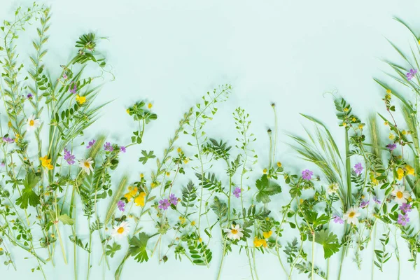 Дикая Трава Цветы Фоне Зеленой Бумаги — стоковое фото