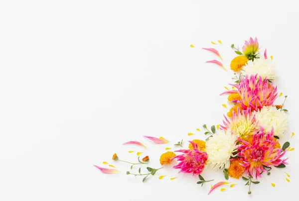 白い背景に美しい花の構図 — ストック写真