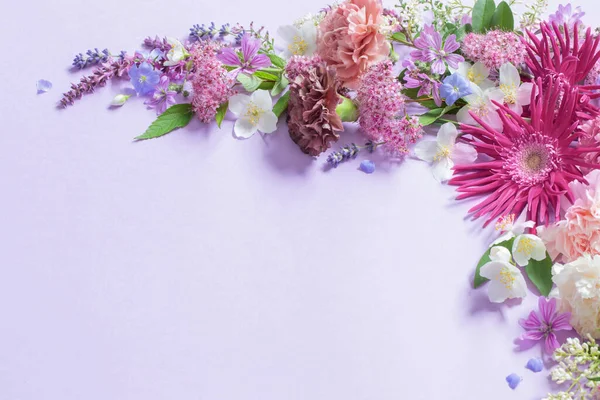 Belles Fleurs Été Sur Fond Violet Clair — Photo