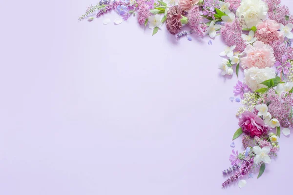 Hermosas Flores Verano Sobre Fondo Púrpura Claro —  Fotos de Stock