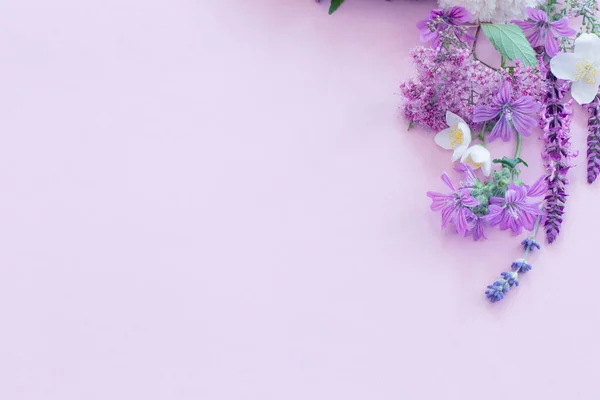 Güzel Yaz Çiçekleri Pembe Kağıt Arka Planda — Stok fotoğraf