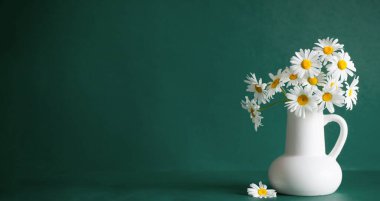 Yeşil arka planda beyaz sürahide papatya çiçekleri