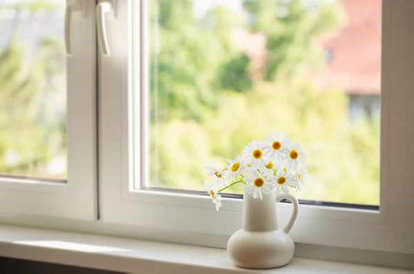 Квіти Ромашки Білому Глечику Підвіконні — стокове фото