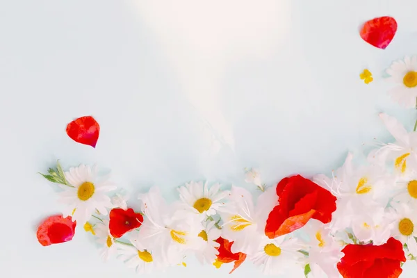 stock image summer flowers in sunny light on blue background