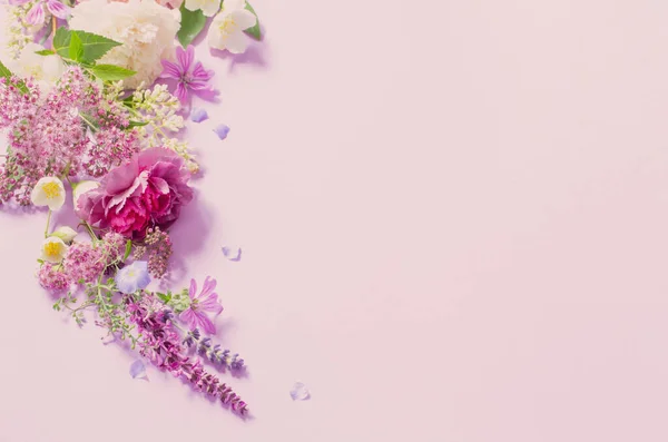 Belles Fleurs Été Sur Fond Violet Clair — Photo