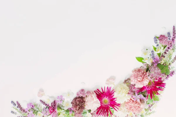 Belas Flores Verão Fundo Branco — Fotografia de Stock