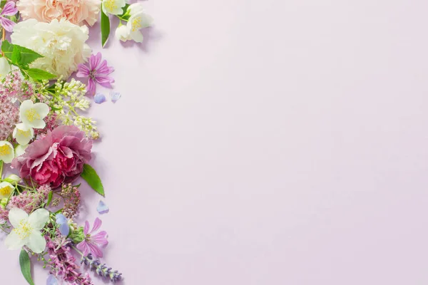 Piękne Letnie Kwiaty Jasnym Fioletowym Tle — Zdjęcie stockowe