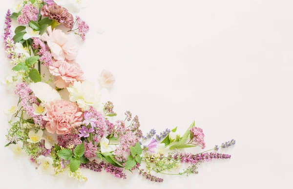 Vacker Sommar Blommor Vit Bakgrund — Stockfoto