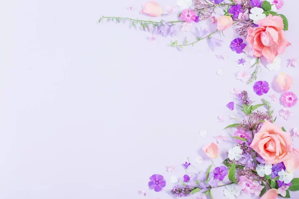 Візерунок Літніх Квітів Кольоровому Паперовому Фоні — стокове фото