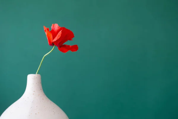 Rote Mohnblumen Der Vase Auf Grünem Hintergrund — Stockfoto