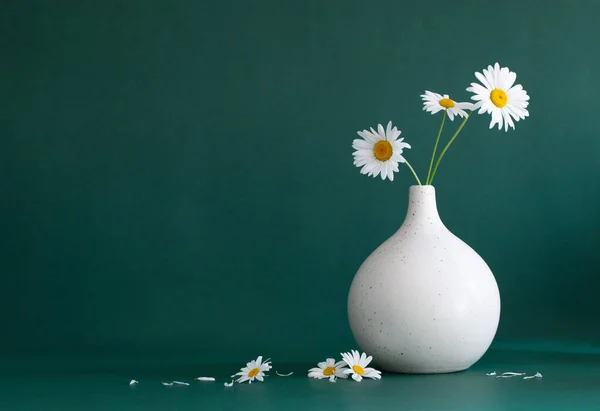 Kamillenblüten Weißer Moderner Vase Auf Grünem Hintergrund — Stockfoto