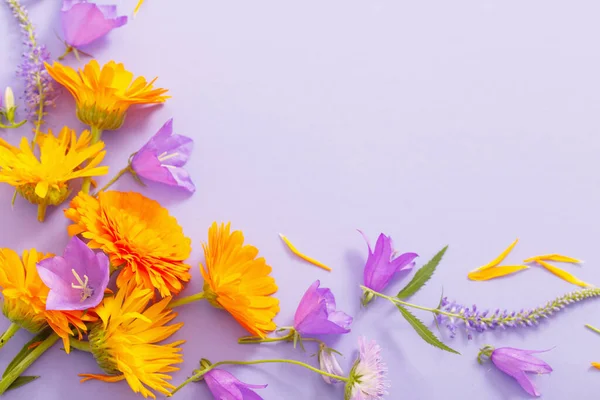 Summer Flowers Violet Paper Background — Stock Photo, Image