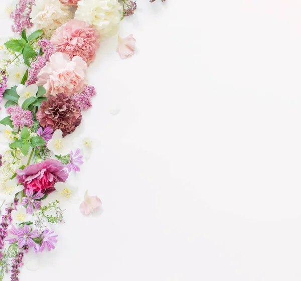 白い背景の美しい夏の花 — ストック写真