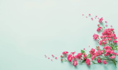 Mavi kağıtta pembe güller