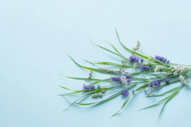 Mavi arka planda yabani çiçekler ve bitkiler