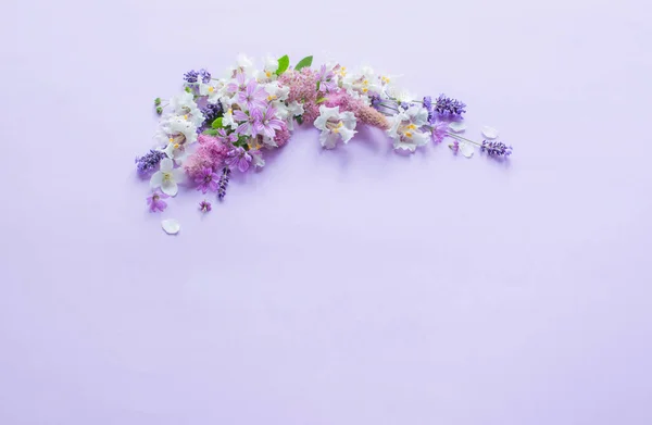 Белый Фиолетовый Цветы Фиолетовом Фоне Бумаги — стоковое фото