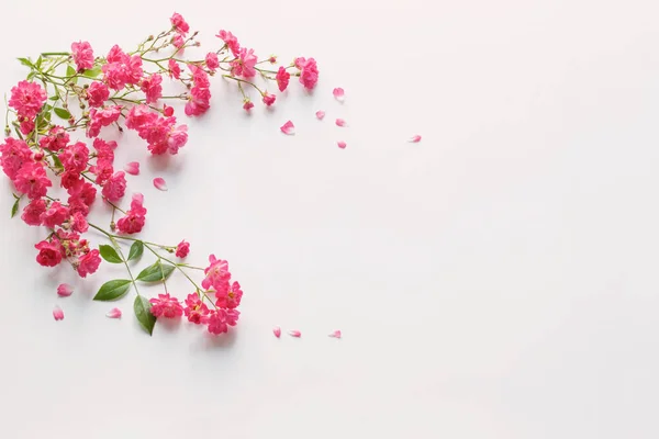 白纸背景上的粉红玫瑰 — 图库照片