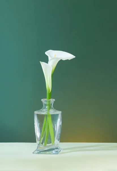 Hermosas Flores Blancas Jarrón Cristal Sobre Fondo Verde —  Fotos de Stock
