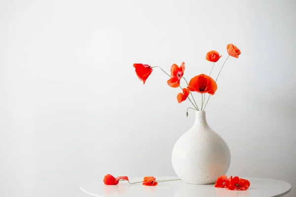 白い背景の花瓶に赤いケシ — ストック写真