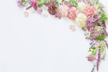 Beyaz arka planda güzel yaz çiçekleri