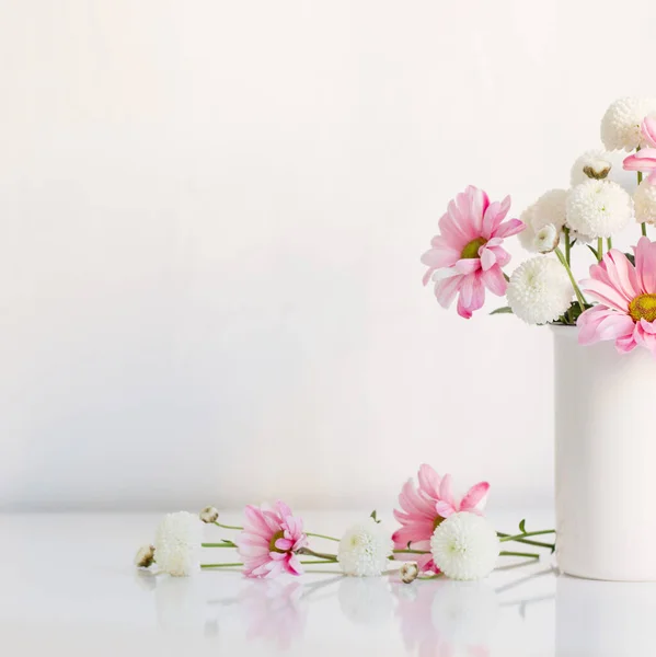 白い背景の花瓶に白とピンクの菊 — ストック写真