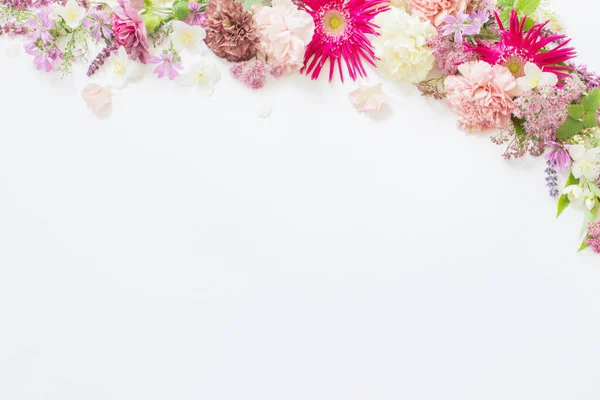 Belas Flores Verão Fundo Branco — Fotografia de Stock