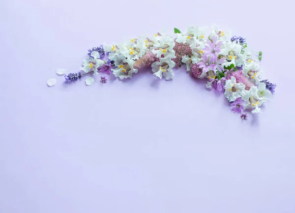 Fehér Lila Virágok Lila Papír Háttér — Stock Fotó