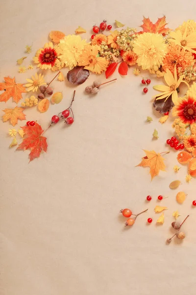 秋天的花朵和树叶 背景在纸上 — 图库照片