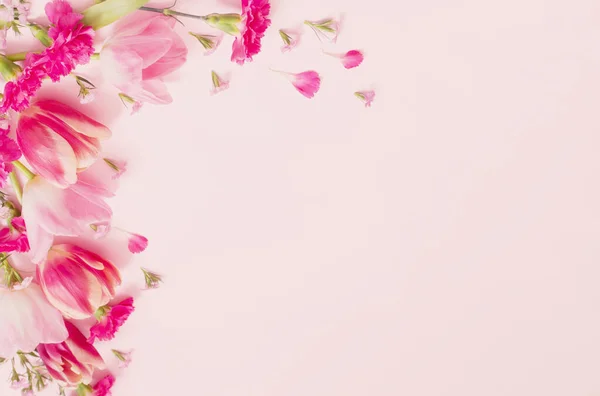 stock image beautiful spring flowers on pink background